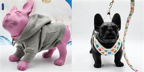 frenchie clothes for humans